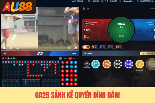 GA28 sảnh kê quyền đình đám GA28 sảnh kê quyền đình đám